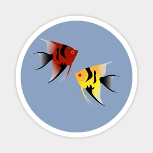 Angelfish Magnet
